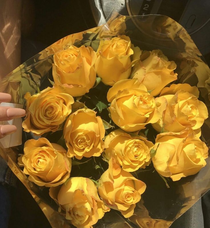 ciceklendirdik's tweet photo. https://t.co/jnTMvnoVnG
