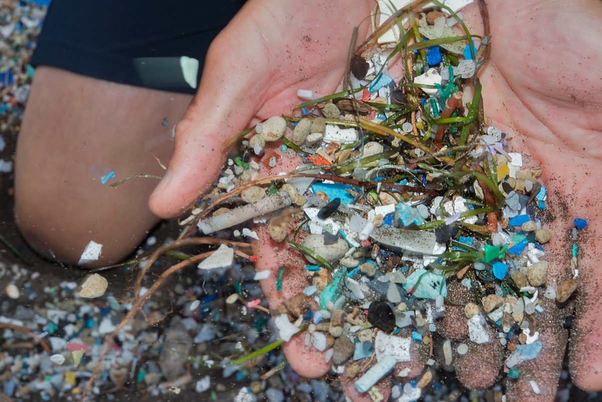 Radio3scienza's tweet photo. Tracce di #PET, #polietilene, #polistirolo e #plexiglass: tutto ciò è stato trovato nell'80% dei campioni di sangue di 22 donatori. Per la prima volta abbiamo la prova che le #microplastiche vadano a finire anche nella nostro circolazione. Con quali effetti? Domani, 11.30 Radio3 https://t.co/FxpECAY3hY
