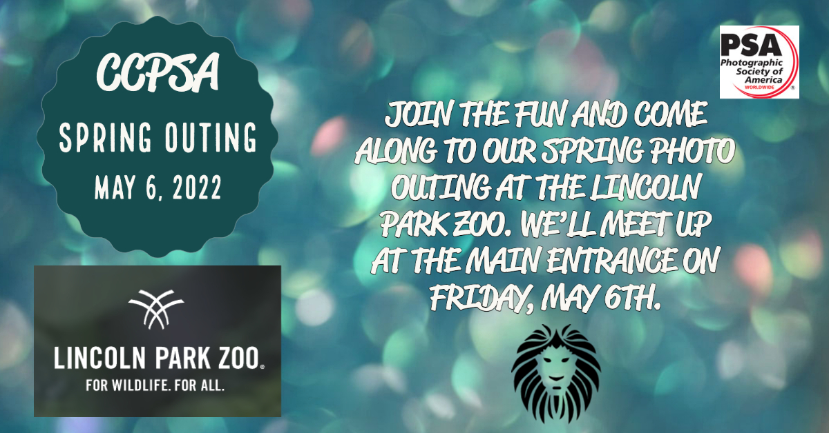 ChapterPsa's tweet image. Our spring outing has been announced (check your email)! More details to follow. #photography_outing #CCPSA #LincolnParkZoo #photography
