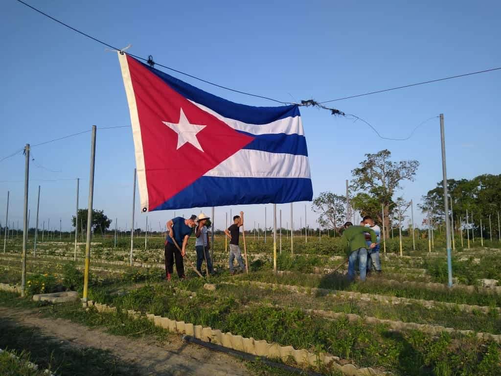 Faltan horas para el gran día, viva la juventud cubana!!Vivan los jóvenes mayoristas. 
#60AniversarioUJC
#XGranmaVamosConTodo <a href="/lara_coba/">Dennys Lara Coba</a> <a href="/BetsyDazVelzqu2/">Betsy Díaz Velázquez</a> <a href="/MarlonSarduy/">Marlon Sarduy</a> @LorenzoBaldoqu2