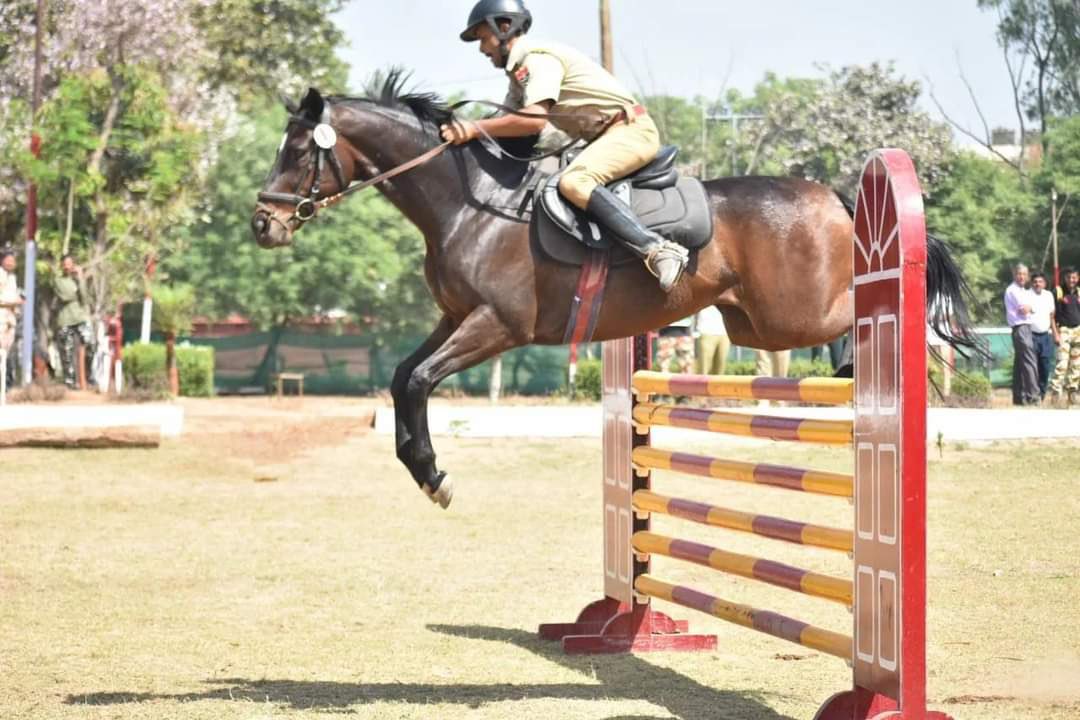 RPAjaipur's tweet photo. अखिल भारतीय राष्ट्रीय घुड़सवारी प्रतियोगिता हरियाणा पंचकूला में राजस्थान पुलिस अकैडमी के कॉन्स्टेबल जितेंद्र एवं सोनाली घोड़ी द्वारा 6 स्टेप क्रॉस कर गोल्ड मेडल प्राप्त कर जीत दर्ज कराई है।
समस्त टीम को बहुत-बहुत बधाई
आरपीएफ के समस्त पदाधिकारी स्टाफ को भी बहुत-बहुत बधाई🌹 https://t.co/BTsVQG2ezr