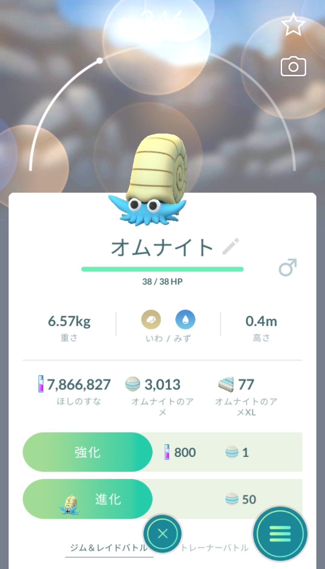 かっちゃん ８ ６ ８gofest札幌 昨日ポケモンｇｏでゲットした個体値０ オムナイト モンスターボールとパイルのみを１個ずつ使ってゲットしました 化石ポケモンの個体値０ はアーケンに続いて２種類目 進化後のオムスターはレガシー技のいわ
