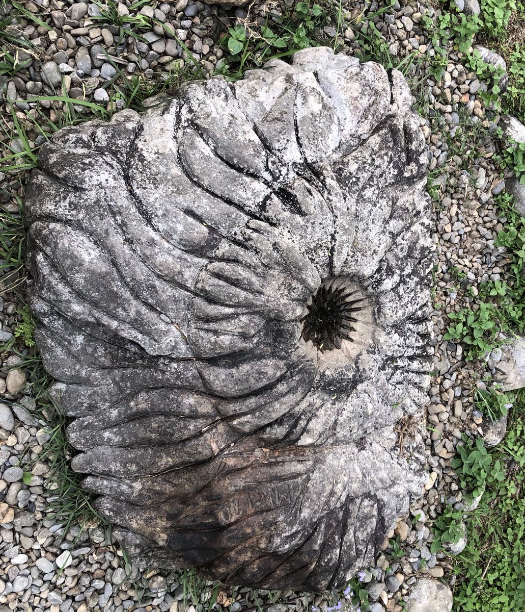 drbishnuhnepal's tweet photo. Exploring #NepalTourism @ #Pokhara @# Nepal -#Himalayas @ #MyPhotography
#StonePark @#Damside-#PhewaLake near #Kedareswore Temple drew my attention today!
-#DrBishnuHariNepalPeaceFoundation @ #UNWTO #UNSG #Xinhua #NHK #SAARC @hello_tourismnp @hello_dotnpl #AP https://t.co/Sx75xonNGU