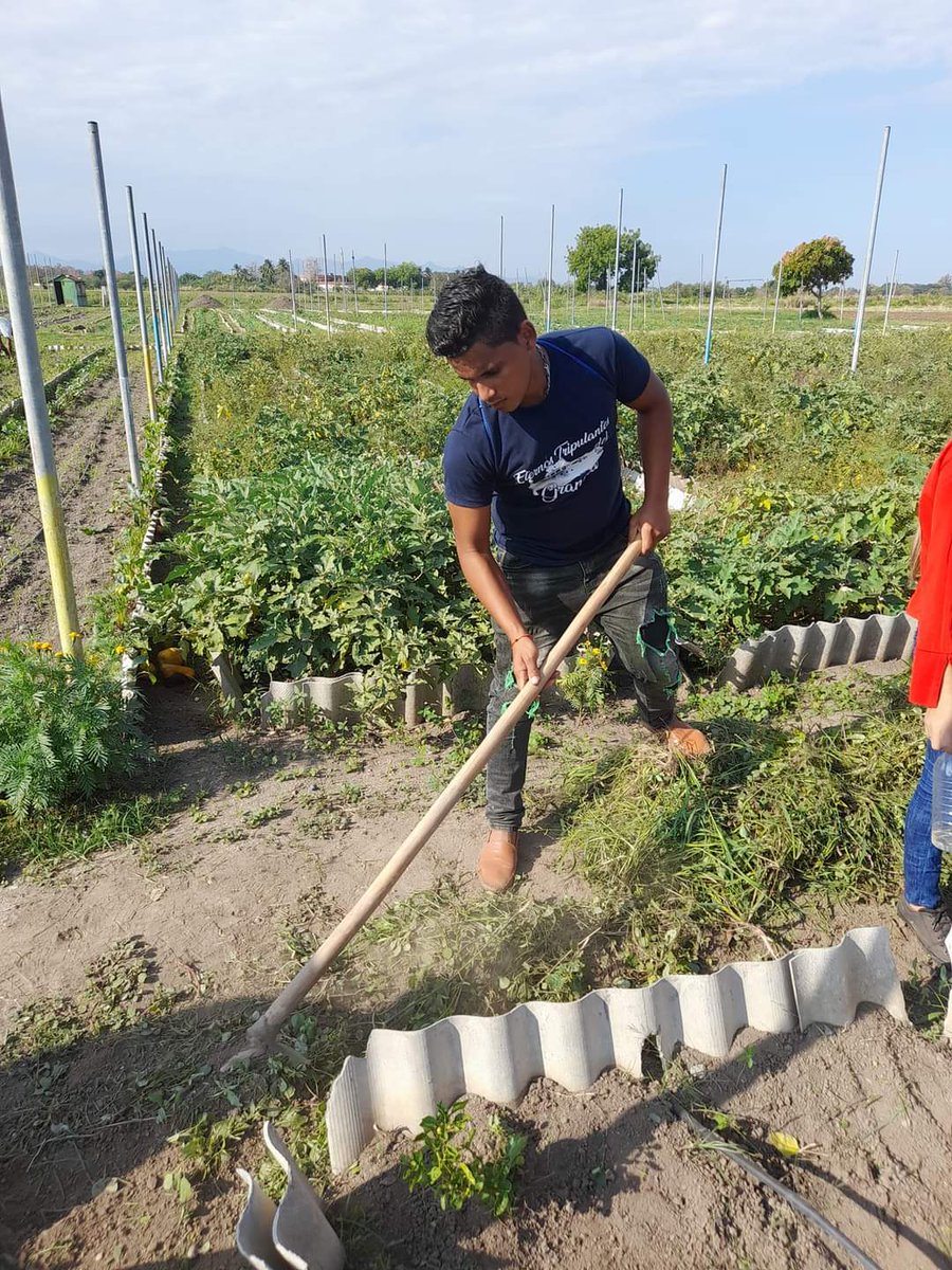 Organopónico La Bayamesa fue el escogido para la labor productiva de este 3 Abril en saludo Aniversario 60 de la UJC. Los Jóvenes Mayoristas comprometidos con el momento que nos toca vivir, donde el ímpetu juvenil puede contra todo. <a href="/BetsyDazVelzqu2/">Betsy Díaz Velázquez</a> <a href="/lara_coba/">Dennys Lara Coba</a> <a href="/MarlonSarduy/">Marlon Sarduy</a>