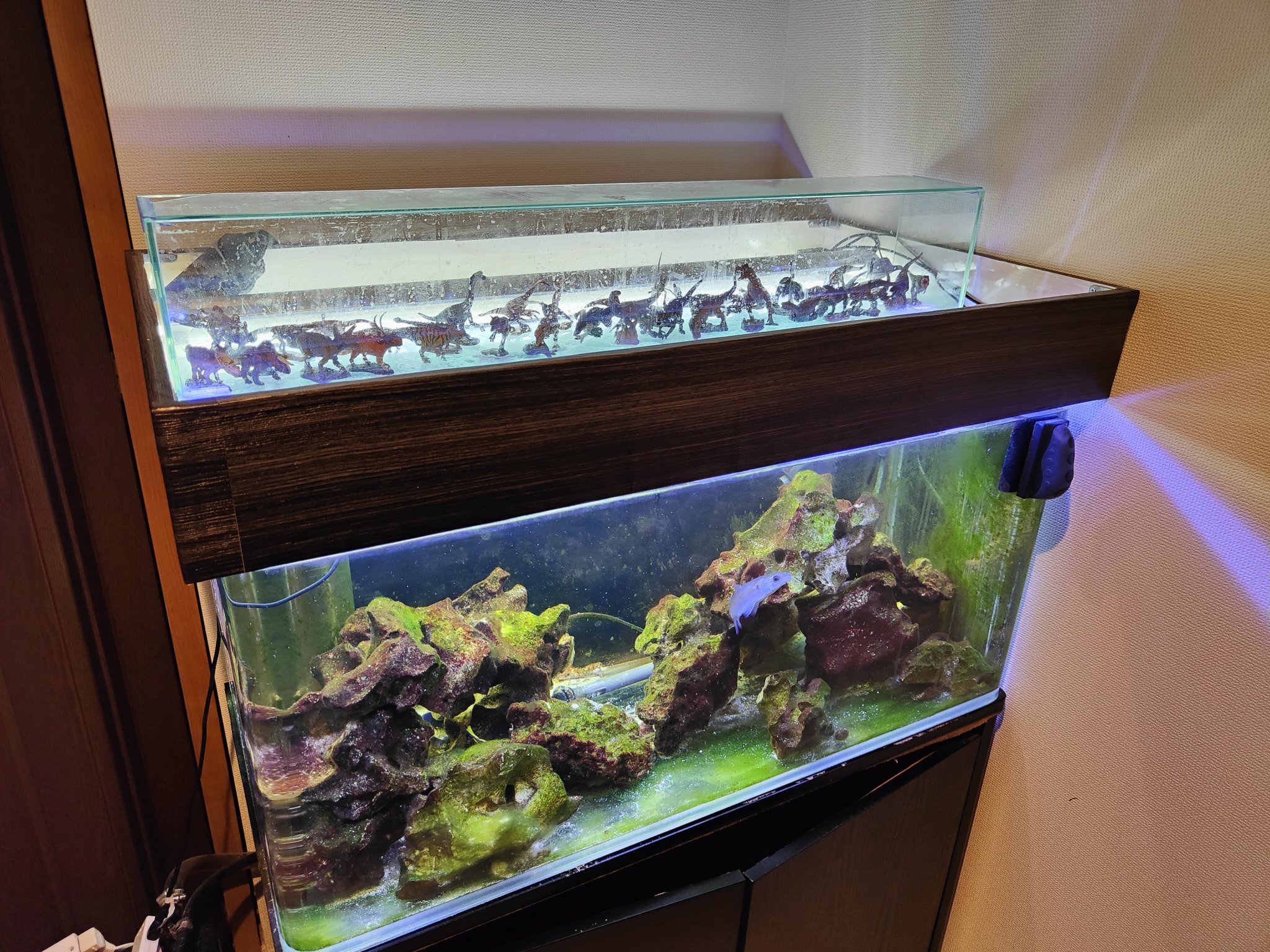 ぷるきんえ 水槽の上に乗せるアクアキャノピーを自作してみた アクアキャノピー アクアリウム 海水水槽 T Co Kdc38tp3w2 Twitter