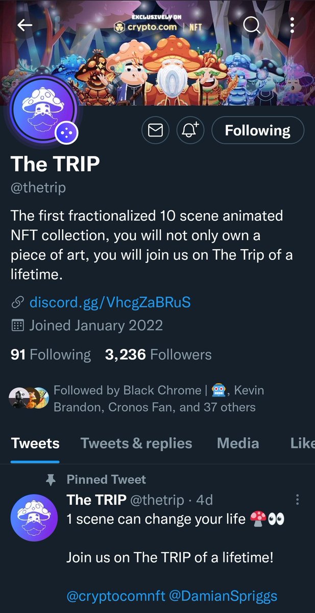 misfitzx138's tweet photo. @thetrip @AlphabotSociety ✅ done
#alphatrip https://t.co/BnFZaN55hl