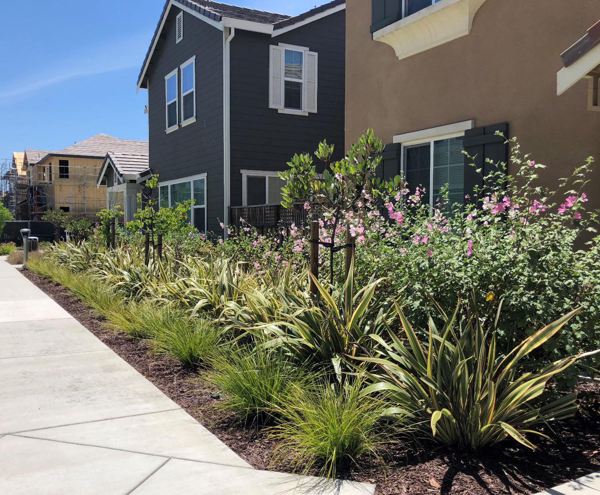ArborTech1's tweet image. Trying to get rid of a tree stump or hazardous tree? ArborTech Tree Care is here to help! arbortech1.com #TreePestControl #LandscapeConstructionRedwoodCity #Arborist #BayAreaArborist #UrbanTreeCare #TreeWork