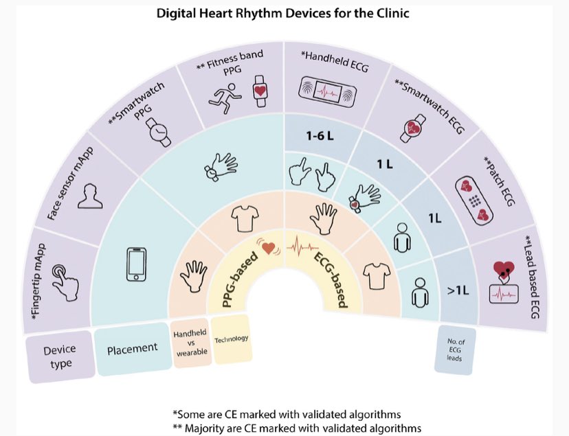 netta_doc's tweet image. ✨How to use #digitaldevices to detect and manage #arrhythmias: an EHRA #PracticalGuide✨

Thank you @EmmaSvennberg for your leadership &amp;amp; to global colleagues for the opportunity to participate!

🧵THREAD of key figures below ⬇️

bit.ly/3iWAxqh
#EHRA2022 #ACC22 #EPeeps