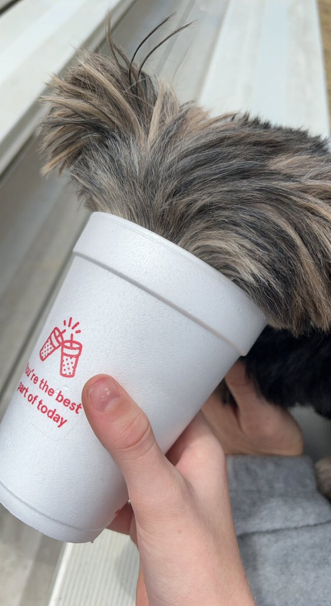 Hey fwands! I love a good sip, what’s your favorite drink?