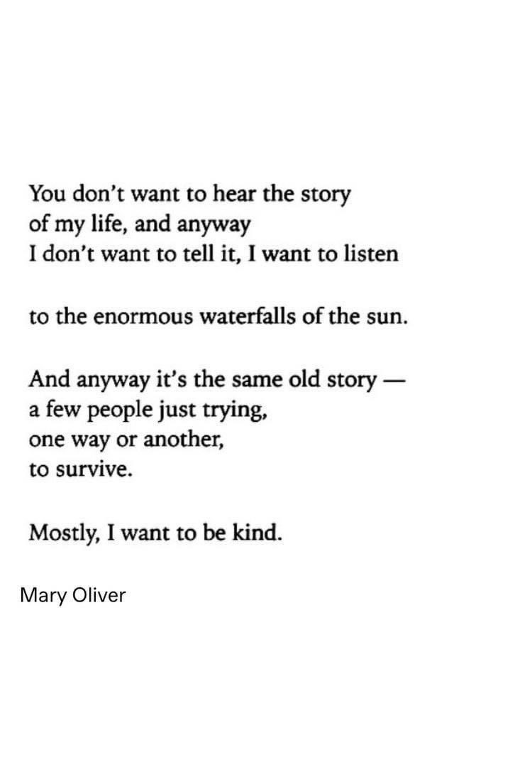 rebekah wilson tweet media