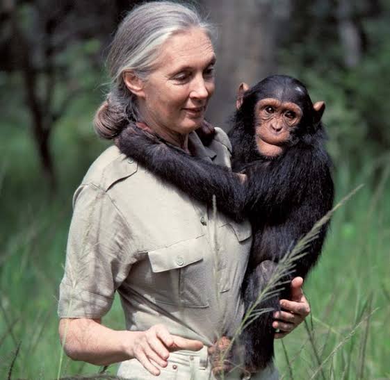 Happy 88th birthday to the legendary and inspiring Dr. Jane Goodall! 
