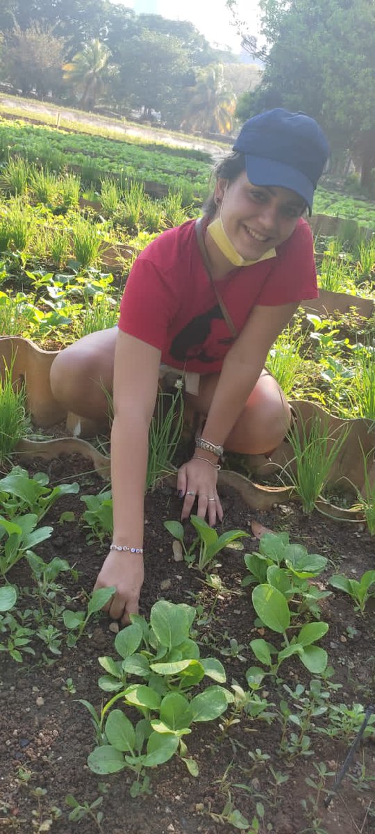 UjcMinrex's tweet photo. Los jóvenes de @CubaMINREX #VamosConTodo produciendo ideas, haciendo producir la tierra🌱, produciendo futuro✊🇨🇺
#60UJC https://t.co/pvcrpxAAOp