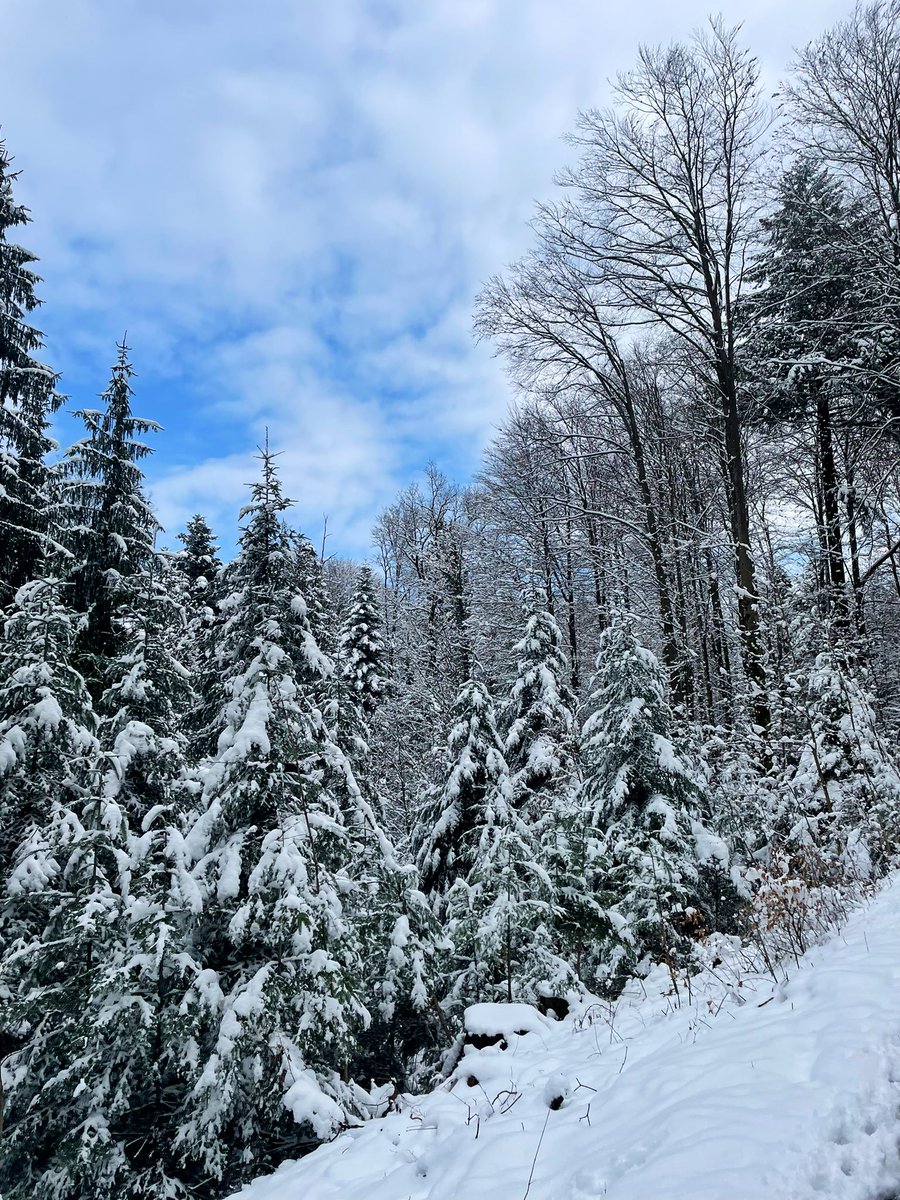 TheSwisspath's tweet photo. Happy Sunday! This weekend, winter returned to a large part of Switzerland, including here in Luzern. 🇨🇭 https://t.co/WIwmy5Y3f9