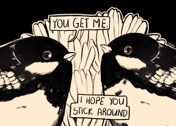 birds of the same feather 
