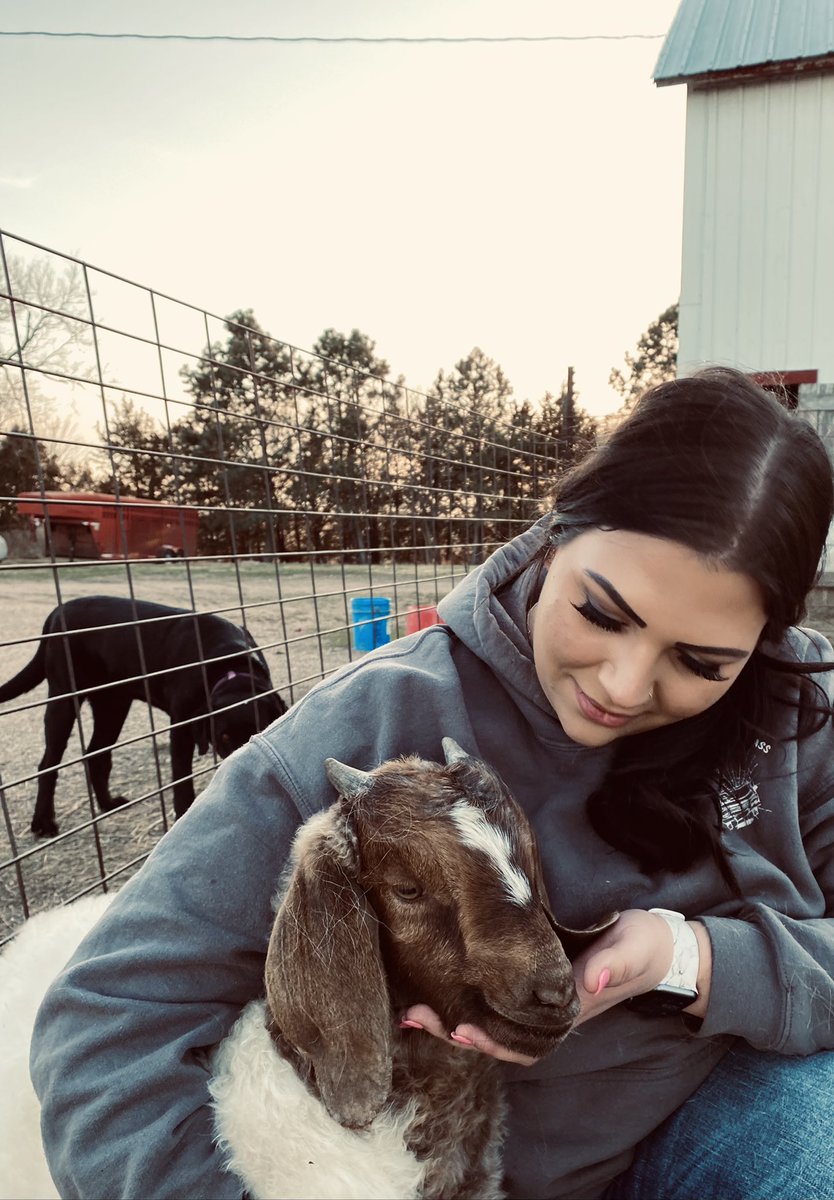 KENigetahellyah's tweet photo. 🐐💕 https://t.co/CoFZ9YYvCL