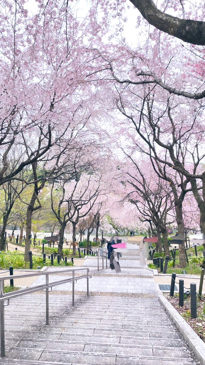 純はアホ毛でジョン tweet media