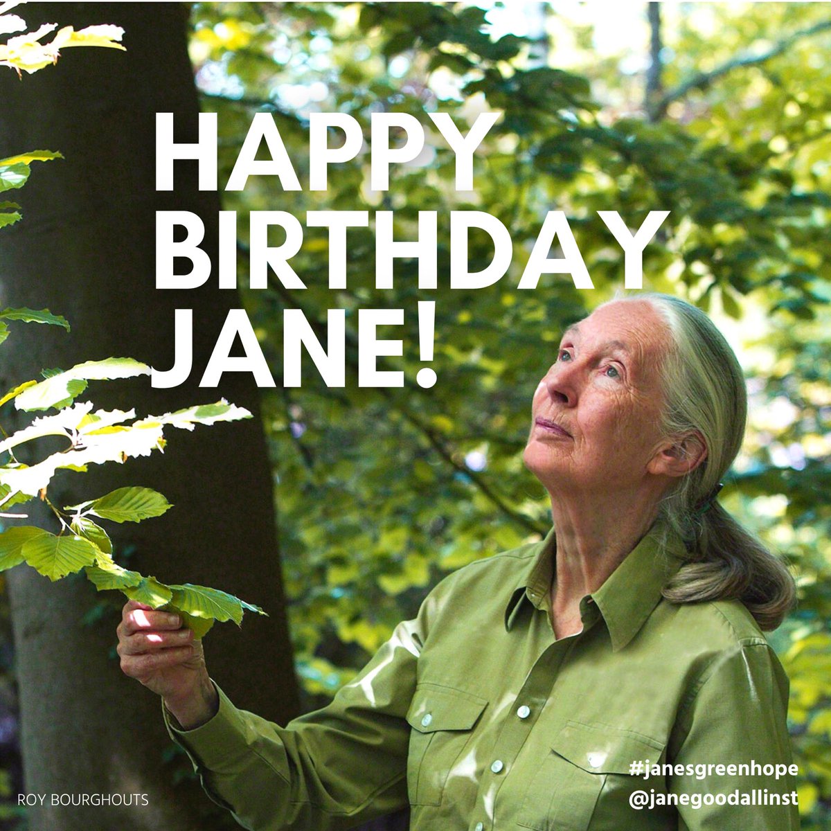 Happy 88th birthday to Dr. Goodall! Today, we celebrate Jane, a woman who for over 60+ years has inspired + motivated millions around the globe. In honor of Jane and #EarthMonth, Join #JanesGreenHope to protect and restore global forests >> janegoodall.org/make-a-differe…