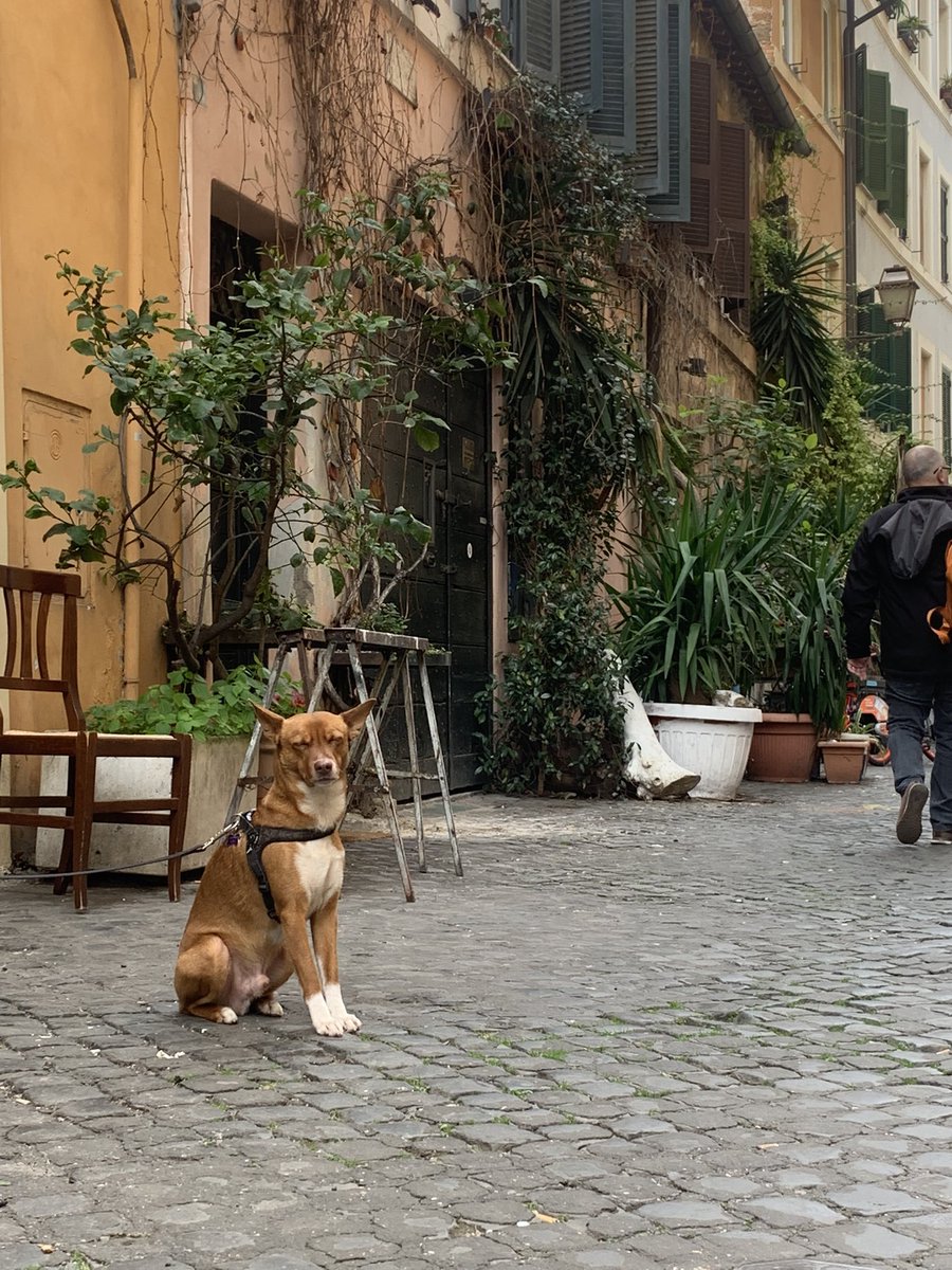 POV ge neemt een foto van elk schattig beesje da ge passeert tijdens het wandelen