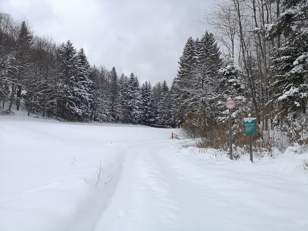 StormAustria's tweet photo. Weitere #winter-liche Impressionen des #Schnee im #April im #Wienerwald sowie in #Kernhof (Tisch mit Schneehaube) #Aprilwetter #Aprilschnee #Niederösterreich #Spätwinter #stormscienceaustria https://t.co/A5ZVKNxEyX