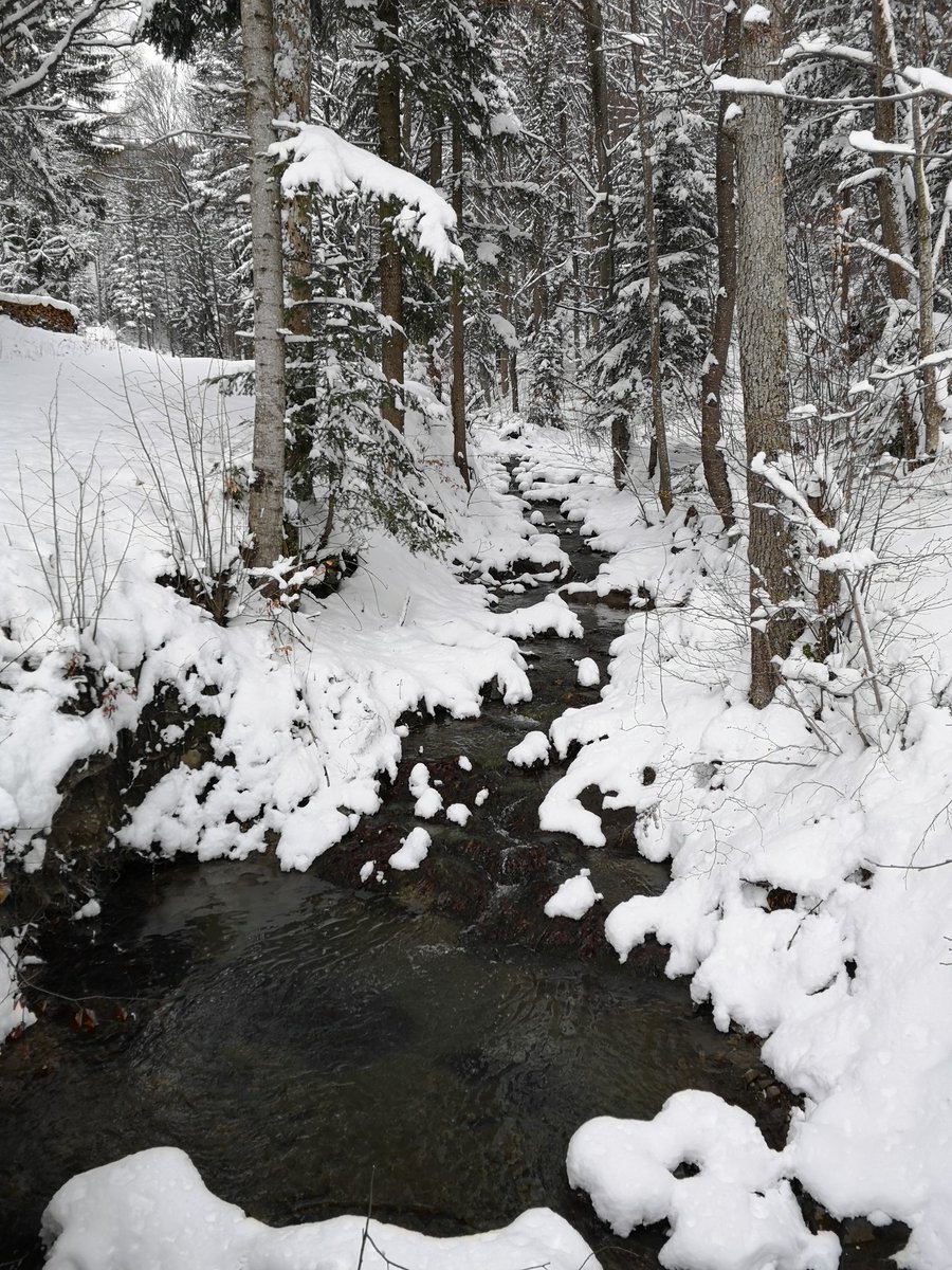 StormAustria's tweet photo. Weitere #winter-liche Impressionen des #Schnee im #April im #Wienerwald sowie in #Kernhof (Tisch mit Schneehaube) #Aprilwetter #Aprilschnee #Niederösterreich #Spätwinter #stormscienceaustria https://t.co/A5ZVKNxEyX