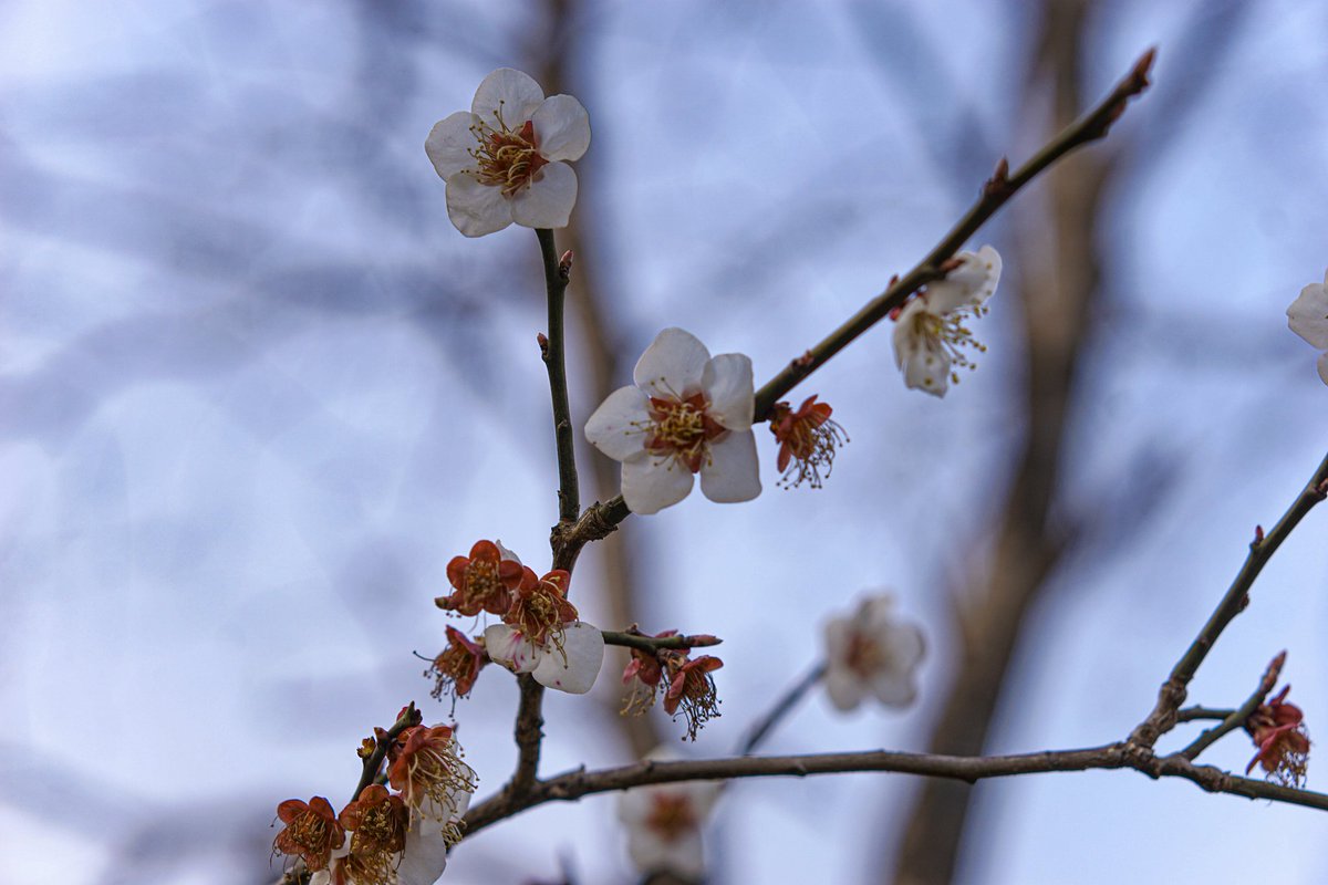 sqtoyaaa's tweet photo. 随拍花花 https://t.co/P65lxXUccI