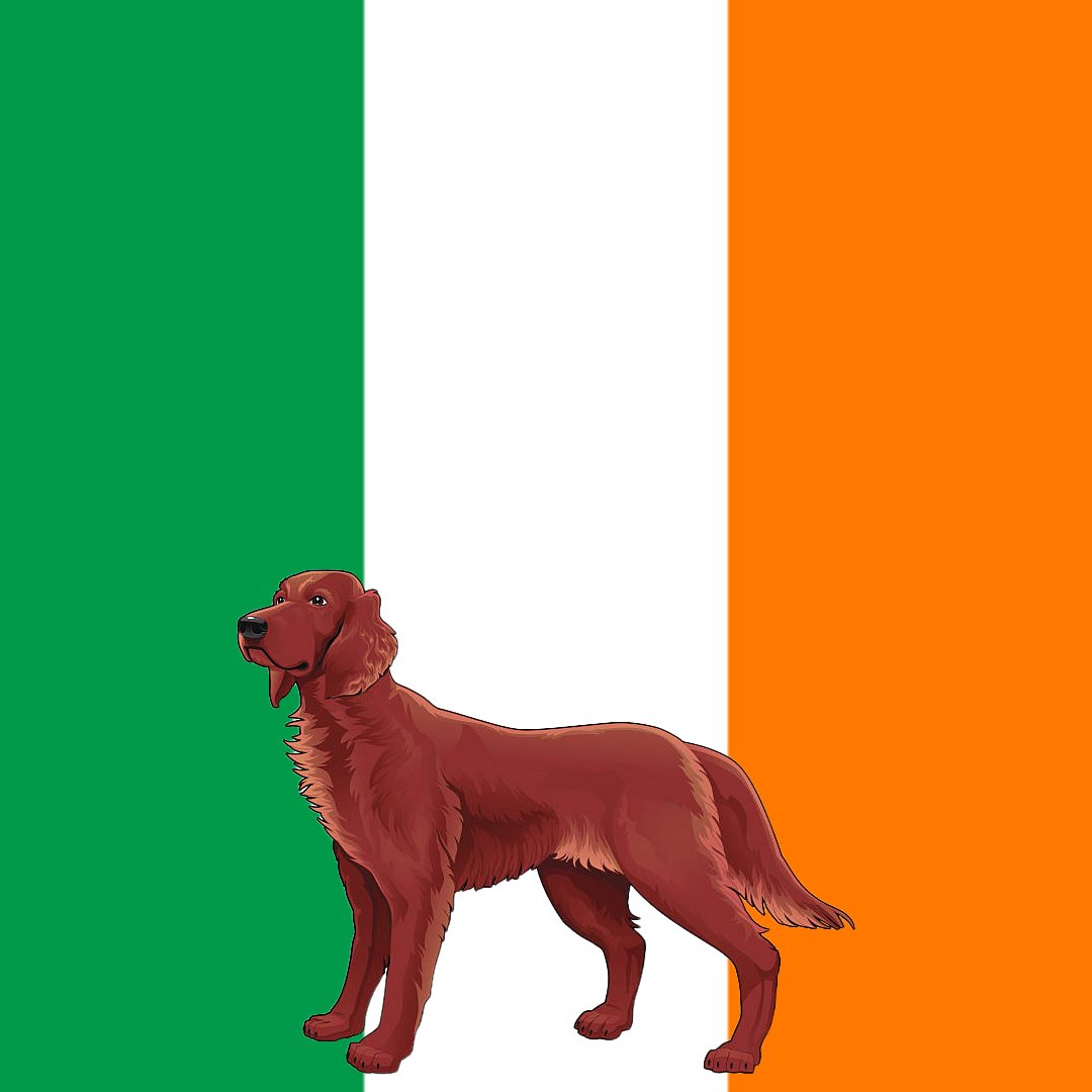 cryptodognation tweet media