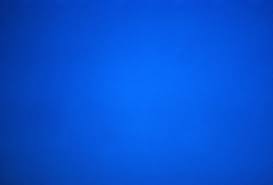 Bilge Ebiri tweet media