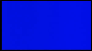 Bilge Ebiri tweet media