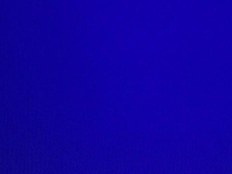 Bilge Ebiri tweet media