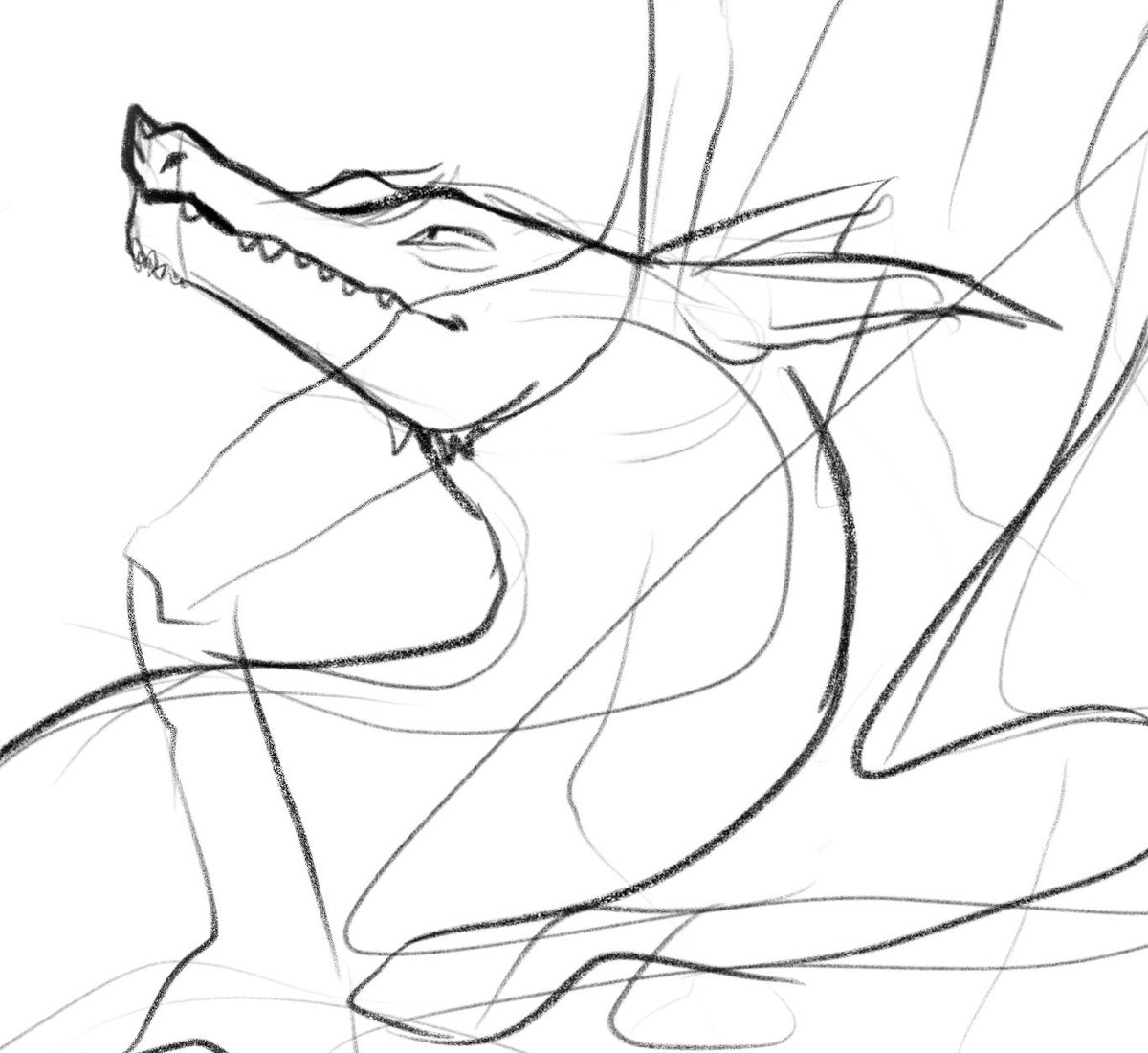 elinnilART's tweet photo. Just some dragon head sketches #dragon #dragons #dragonart #dragonartsit #dragonartwork #digitalart #digitalartist #art #artwork #artist #comission #procreate #procreateart #procreateartist #digitaldrawing #dragoncomission #dragoncomissions #procreatedrawing https://t.co/CECD5v7DYK