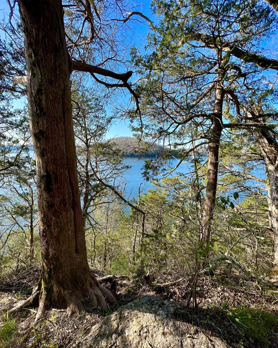 mac_cheeves's tweet photo. home sweet hell 😉
back home for more vert & skrrrtt 🏃🏻
🎶 @TheRyanAdams #flickerinthefade
@TristarAdventur
@yeti_runners @dirtbagrunners #tristaradventures #lasthorserunner #seenonmyrun #trailrunning #runtn #leavenotrace #yetirunners #hillbillyviking https://t.co/5TmV0oiue8