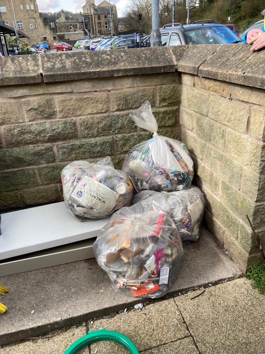 LitterfreeSB tweet media