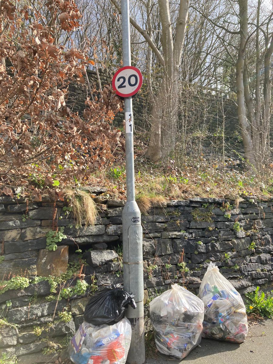 LitterfreeSB tweet media