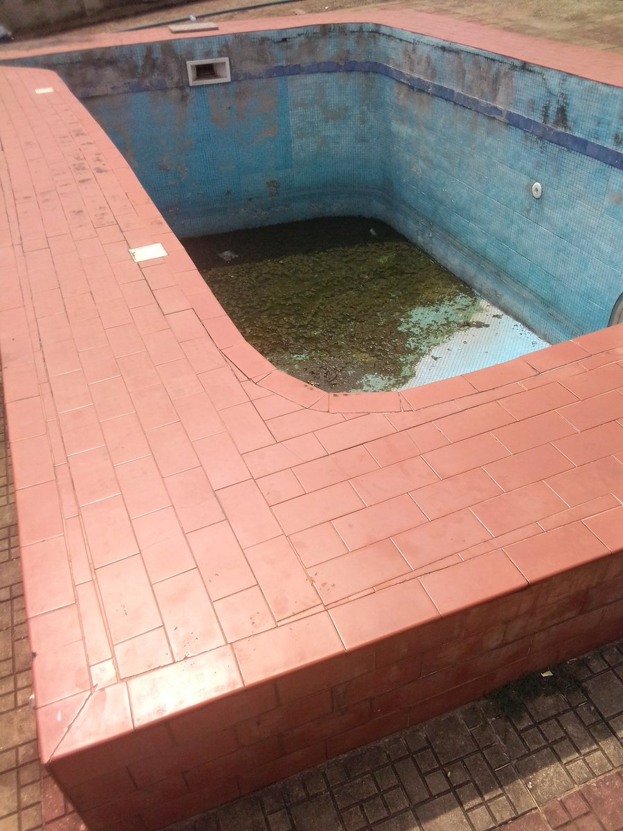 LanreSOFT's tweet photo. This POOL was seated dormant in GRA. The #farmsinnova team was contracted to convert it to a 3000 catfish POND. Renovations involving channelling wastes and  treatment. #POOL2POND. 

The aftermath will be glorious to the eyes. #livestockfarming.  @borie_nla @sarnchos @BashorunGa_ https://t.co/VYSJw9OhTf