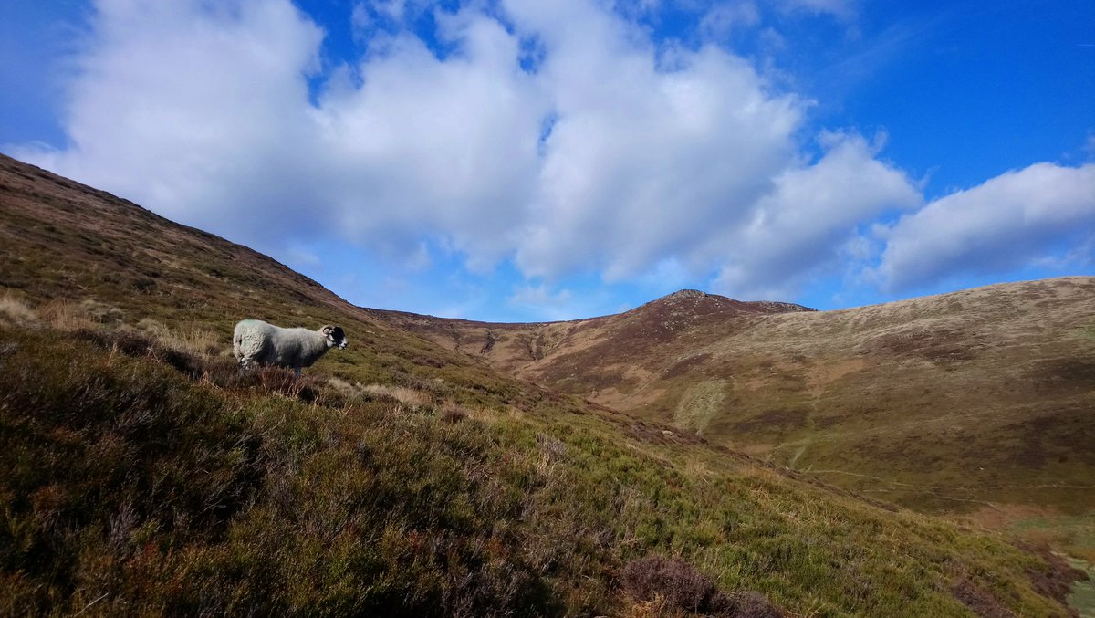 ABTheAdventure's tweet photo. Afternoons like this in Edale ๐
โ ๐ #peakdistrict #outrunning https://t.co/TVl8BxSkQi