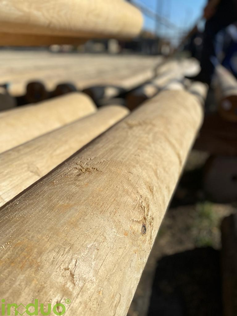 #woodpoles #wood_poles #induo #madeningermany #dubai #arabic #woodpolesupplier #holz #picoftheday #germany #telefonmasten #stromleitung #supply #purchase #industrie #holzbau #timber #infrastruktur #infrastructure #telephone_poles #utilitypoles
