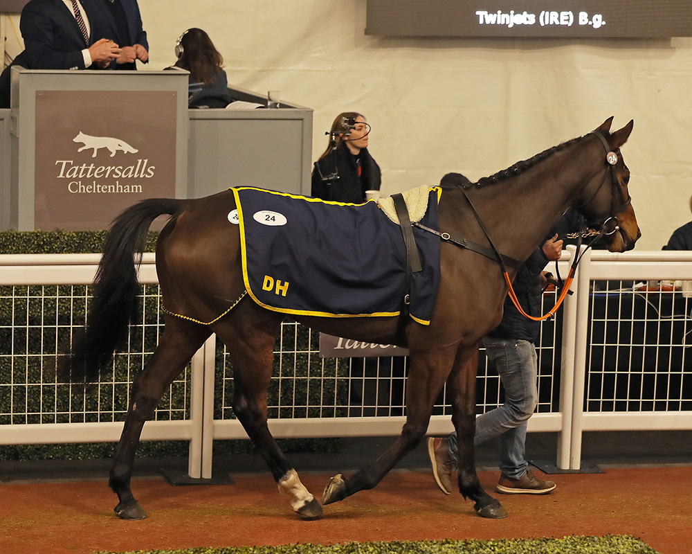 TattsCheltenham's tweet photo. 🏆 TWINJETS 🏆

Highly impressive on debut for @MFHarrisRacing winning the @HerefordRaces bumper. Sold #TattsCheltenham January Sale 2022 by Donal Hassett for £45,000

👏 Congratulations to all connections

Next Sale
#CheltenhamApril Sale
#ContinuityCounts https://t.co/6uSmeu6CeS