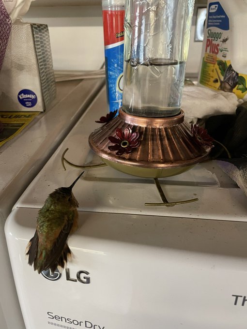 This guy is just chillin on my dryer asleep. I didn&rsquo;t want to move him, I figured he&rsquo;s hungry, but the<a href="/tag/happyplace"class="tags"><span>#happyplace</span></a><a href="/tag/luckygirl"class="tags"><span>#luckygirl</span></a><a href="/tag/hardpointsathome"class="tags"><span>#hardpointsathome</span></a>