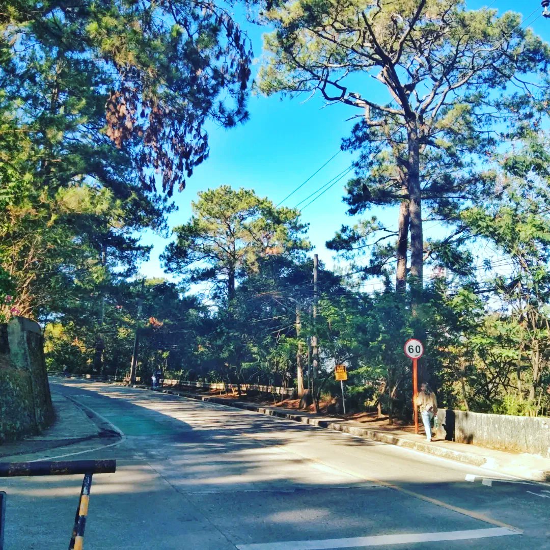 AldrewJames's tweet photo. Great achievement for the week:
5days straight OT 5hours everyday
Sana di ako tatagos sa pintuan ng prod😅🤣
Beautiful morning😊

#heaveupchannel  #bloggerstyle #morning 
#baguio2022  #baguiocity #BaguioFeels
#baguiolife #loakan #VlogWithStyle #vloger 
#vloggerph #Youtube https://t.co/1yKX3MsOwe