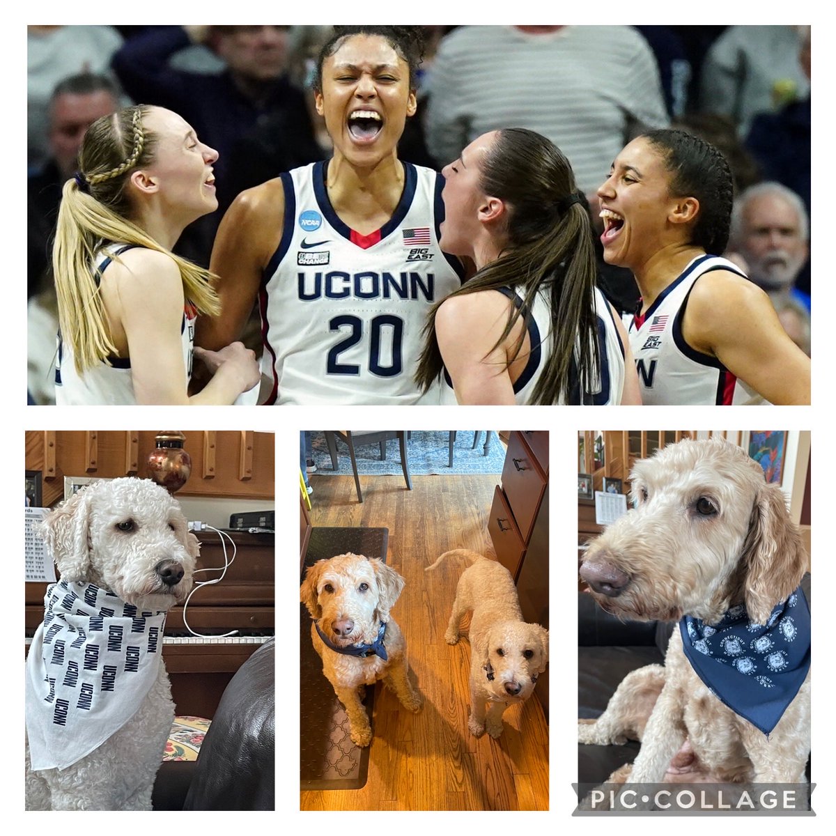 Kate Hesla tweet media