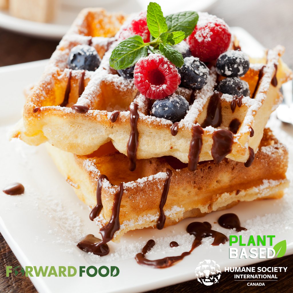 Humane World for Animals Canada tweet media