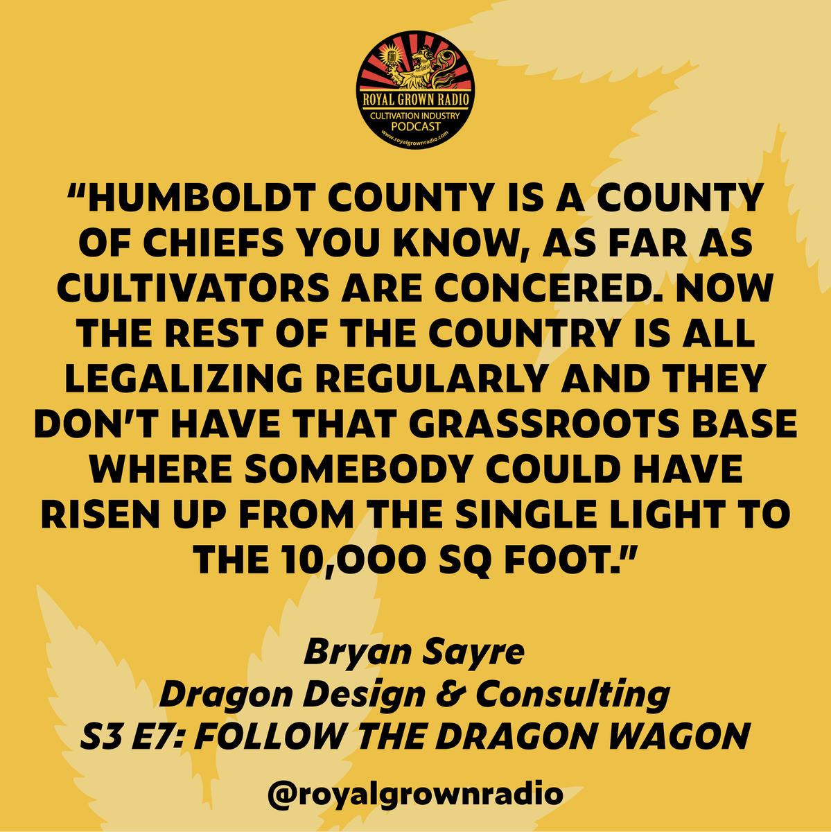 royalgrownradio's tweet photo. Humboldt County is a county of Chiefs as far as cultivators are concerned - @dragon_design_and_consulting
.
If you haven't check out this great episode, listen anywhere podcasts are found! Like, share, and subscribe. 
.
#royalgrownradio #potcast #podcasting #humboldtcounty https://t.co/TOywWDJLvV