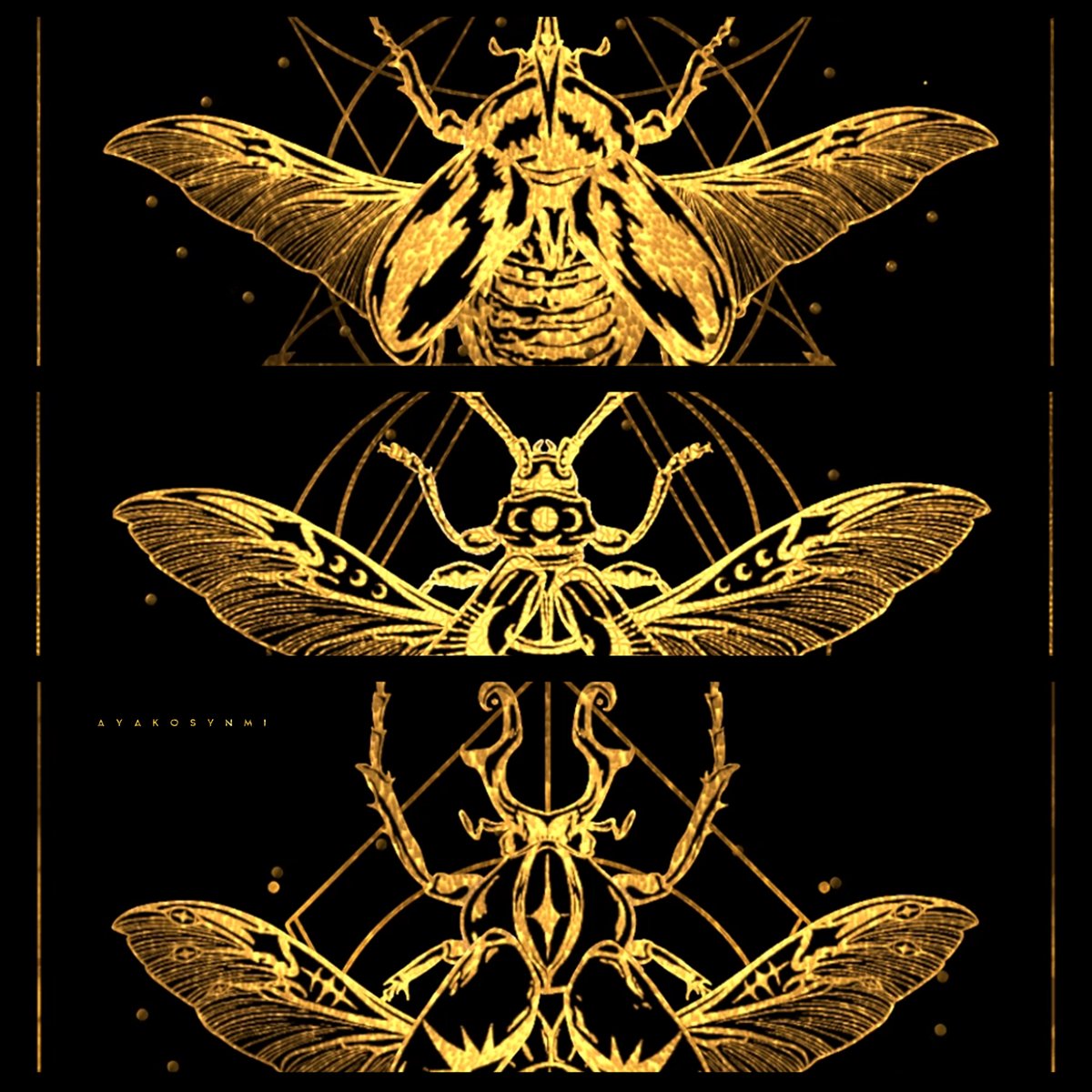 ayakosynmi's tweet photo. Can you guess what kind of insect these are?

#CNFTs #CNFT #NFT #NFTs #Cardano #CardanoCommunity #CardanoNFT #nftart #CNFTCommunity https://t.co/J6zKxOE4YO