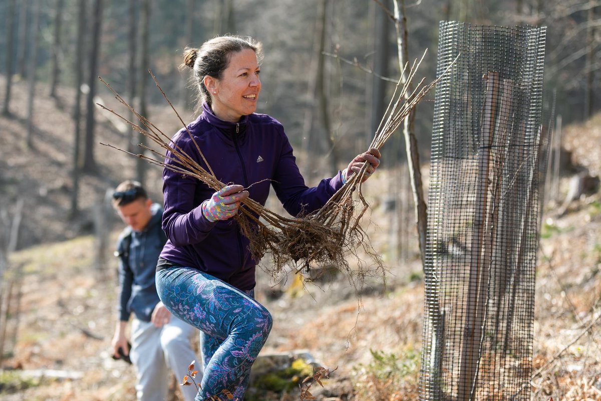 urskaintihar's tweet photo. “The best time to plant a tree was 20 years ago. The second best time is now.” #plantatree #savebees #saveearth #lovemylife #womenbeekeeping #Slovenia #ifeelslovenia #SaveSoil #SaveSoilMovement #lifebook #thinkabouttomorrow https://t.co/0f3gYdrcsI