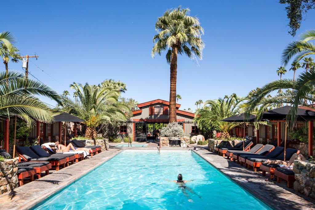 JAFConsulting's tweet photo. Did you know that Palm Springs has more pools per capita than the rest of the country? 
#sqa2022 #sqa #jafconsulting #palmsprings #jafthemoreyouknow #booth211 https://t.co/YJWhalBvg5