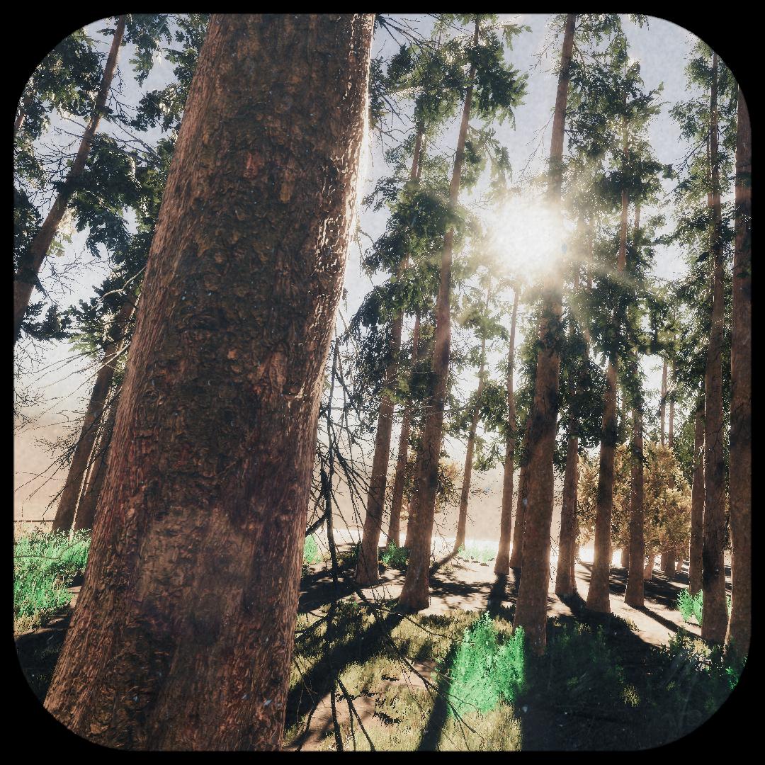 Tweaking sun flare balance. Ranging between cheesy and cool :-)

#100DaysofGameDev #gamedev #IndieGameDev #indiegames #madewithunity #VirtualPhotography 
#ScreenshotSunday