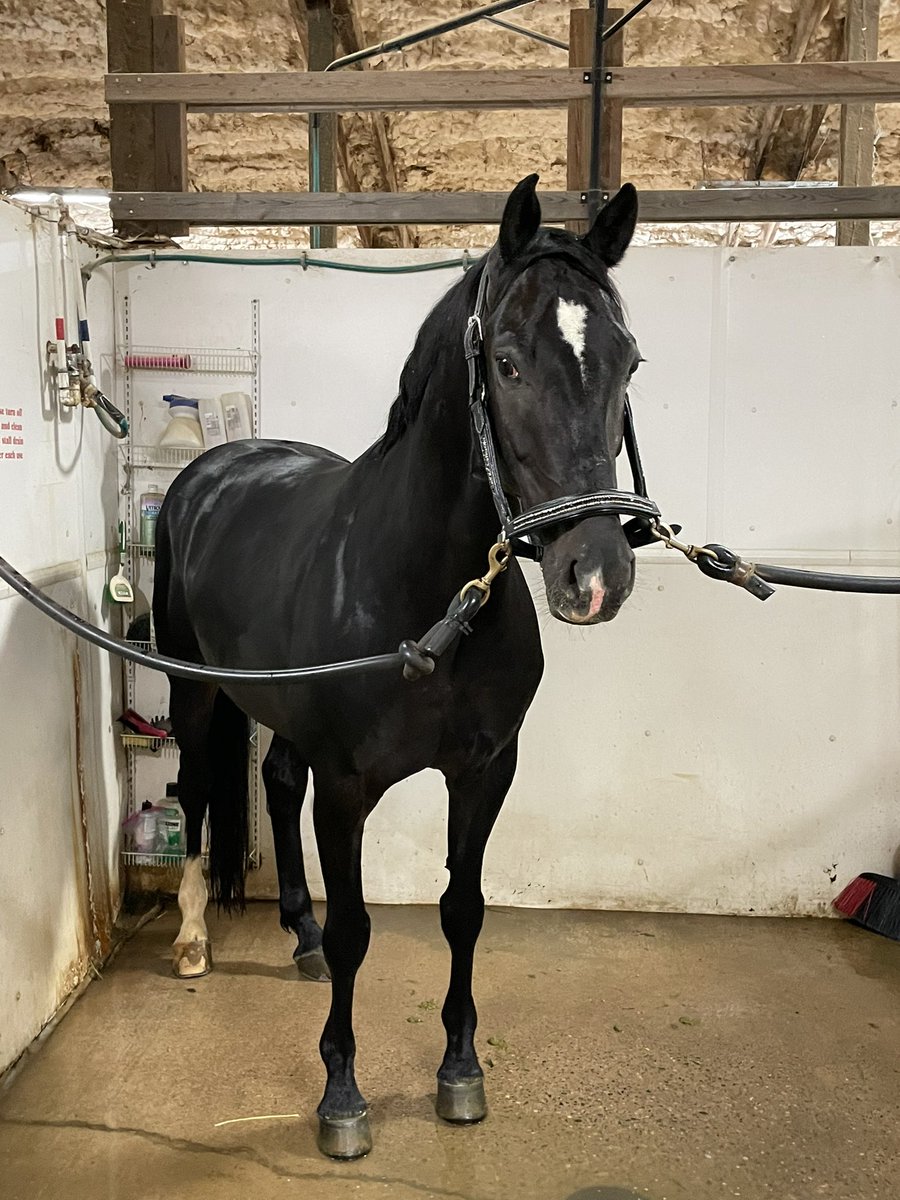 Dr. Ilana Fromer tweet media