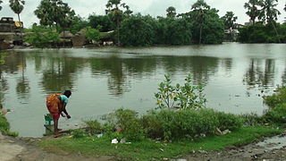 Raindrops2016's tweet photo. கொஞ்சம் கொஞ்சமாய்
குளம் வற்றுதல்
மிகக் கொடிது...
நீர் குறைந்து சேறாகி
மண்குழம்பாய்
மாறிப் போகையில்
நீந்தி திரிந்தன 
நிலை தடுமாறி
மூச்சுக்காய் போராட்டம்
முடியாத கையறு நிலை..
வருணனே..
எப்போதும் கொஞ்சமேனும்
அருள்மழை பொழியுமய்யா... https://t.co/AU0YZKfbDX