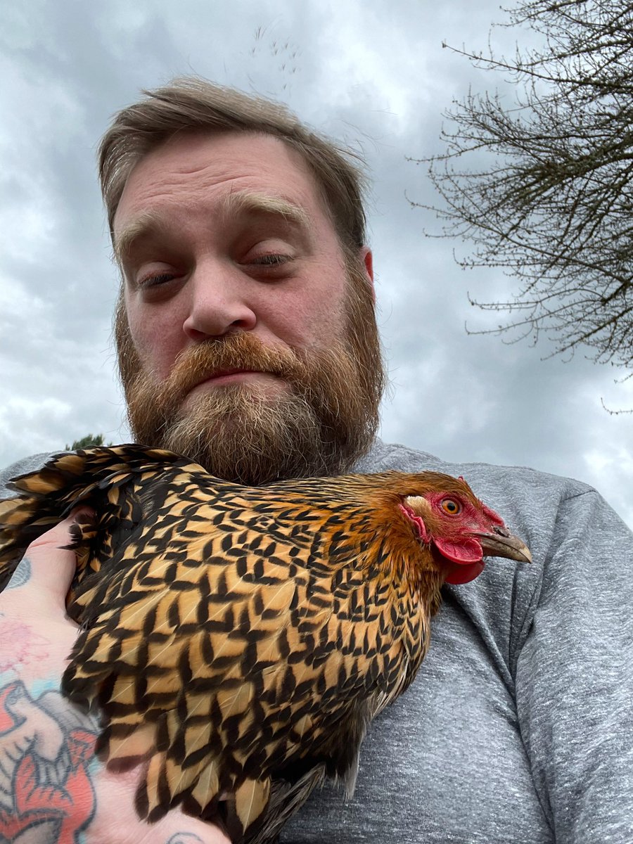 ChrisMargolin's tweet photo. Scarlett decided to take flight out of @WanderWorlds and my yard and into a neighbor’s. We had a long talk about trespassing and privacy on our walk back around the block.
#fleethecoop #chickens #chickenrun #normalshit #SundayMorning #poetry https://t.co/d5gGVXiX0M