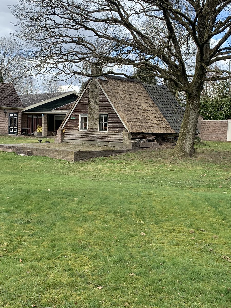 Vierde etappe Pieterpad van Zuidlaren naar Rolde. Wat is Nederland 🇳🇱 toch waanzinnig mooi!